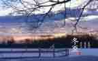 幼儿园冬至活动的总结7篇