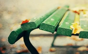 懂自己作文800字5篇