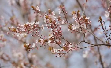 懂自己作文800字推荐7篇