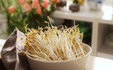 豆芽生长记作文5篇