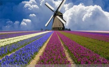 初中多彩的活动作文7篇