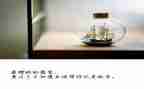 让祖国为青春绽放心得体会6篇