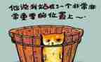 好活动的总结与反思模板8篇
