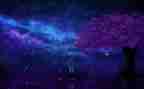 繁星读后感作文5篇