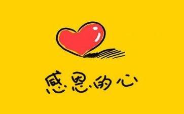 论感恩作文精选8篇