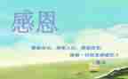 论感恩作文模板5篇