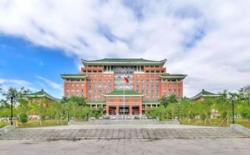 高校行活动方案5篇
