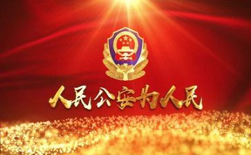 公安的年终总结6篇