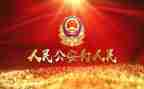 公安的年终总结6篇