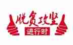 脱贫攻坚工作总结优秀6篇