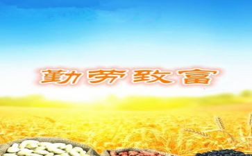 致富带头人事迹7篇