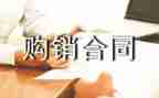 导购销售年终总结个人总结6篇