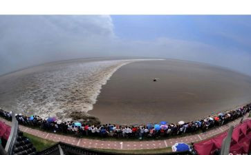 四年级观潮心得体会参考8篇