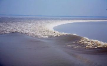 观潮听课心得体会通用5篇