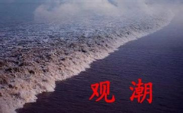 观潮的作文读后感300字推荐7篇
