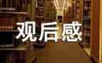 观看歼20观后感8篇