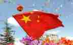 爱国旗护国旗作文精选5篇