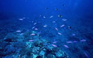 海底捞读后感400字优秀5篇