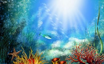 海底捞读后感模板6篇