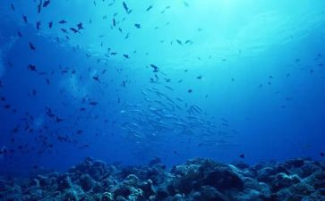 海底捞心得体会800字6篇