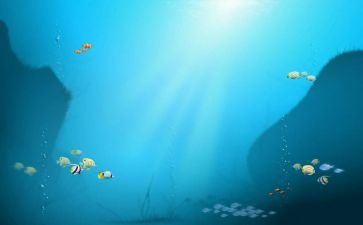 海底捞读后感参考8篇