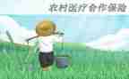 合疗的个人述职报告优质8篇