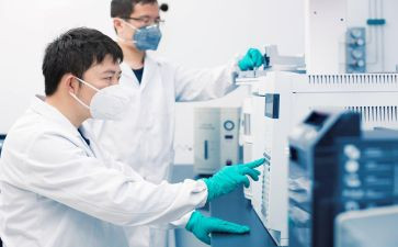 标后检查工作总结优质6篇