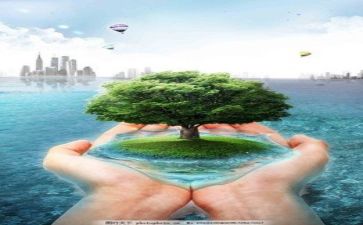 环保的活动总结推荐5篇