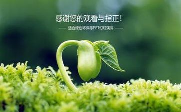 2023年环保局述职报告6篇