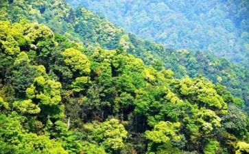 环境对人对影响作文8篇