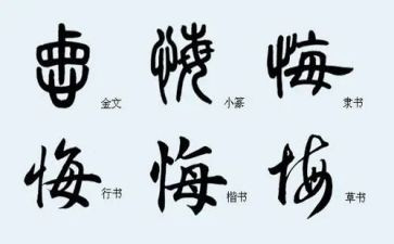 无悔选择的作文优质7篇