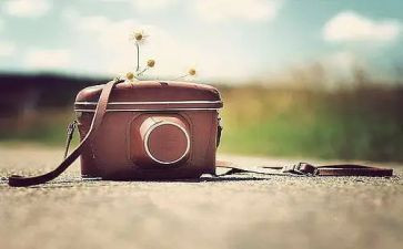 我难忘的回忆作文优质7篇