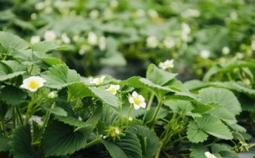 获得感作文模板5篇