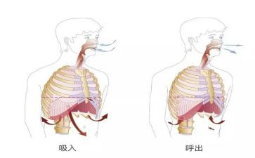 呼吸内科2024年护理工作计划7篇