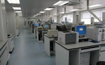 检测员工作个人总结8篇