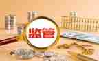 e网监管工作总结模板7篇