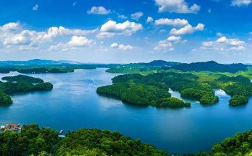 中考语文江西作文5篇