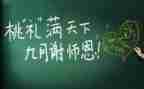 新教师的述职报告精选6篇