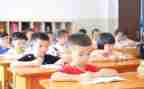 主题教学活动活动方案6篇