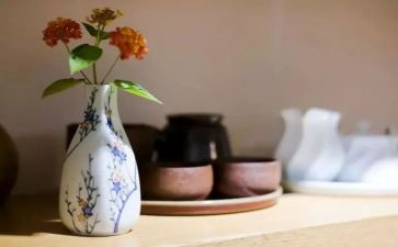 教养的演讲稿6篇