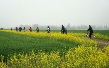 郊游作文作文优秀7篇