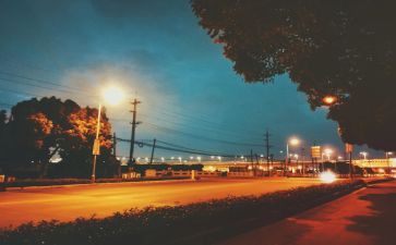 街头的错别字调查报告通用6篇