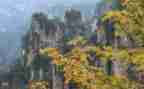 写景作文初中600字通用5篇