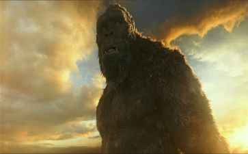 金刚川观后感300字7篇