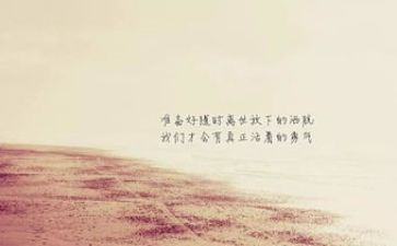 女排精神的心得精选5篇