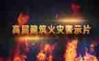 酒驾警示片心得体会6篇