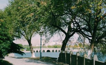 荆州的作文最新5篇