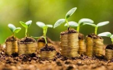 金融专业实习报告范文5篇