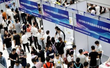 大学生就业的调查报告5篇