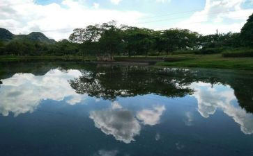 关于被看见的作文7篇